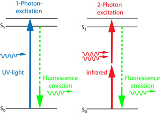 Two-photon excitation of carbon Dots.